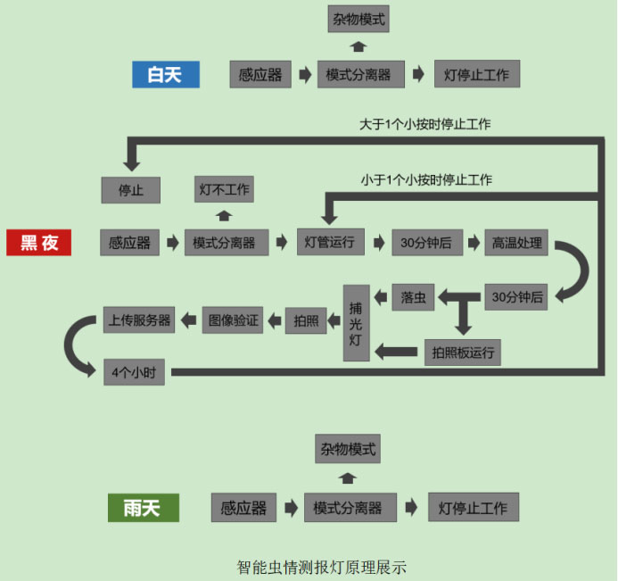 智能蟲(chóng)情測報燈